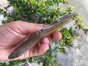 Natural Handmade Buffalo Horn Hair <b>Comb</b> <b>Wide</b> Smooth Tooth For Gentle Detangling Hair Care And Daily Hair Grooming - Product Image 2