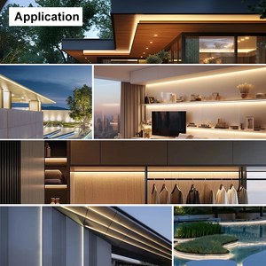 SXZM COB-LED-Streifen, IP67 wasserdichtes flexibles Band, 12 V/24 V, 312 LEDs/<span class=keywords><strong>m</strong></span>, APP-gesteuert, warm/neutral/kaltweiße Außenbeleuchtung - Product Image 6