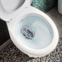 WC deux pièces Toiletbasinodoro articles sanitaires toilettes en céramique montées au sol prix deux pièces P-Trap Wc toilette à bas prix