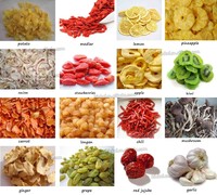 KINKAI Voedseldehydrator voor fruit, groenten & vlees - Hoge capaciteit 20kg/u 3,2-15,6kW vermogen JK Serie