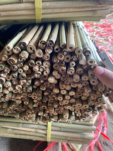 เสาค้ำต้นไม้ไม้ไผ่ตงกินคุณภาพพรีเมียม เป็นมิตรกับสิ่งแวดล้อม สำหรับการเกษตร ขายส่ง - Product Image 3