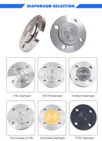 BECHO Double Flange Differential Pressure Level Transmitter 4-20mA Hart Protocol for Industrial Process Control