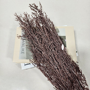100 Grammi di Fiori Secchi Sbiancati, Erbe e Fiori Conservati, Adatti per Decorazioni Aromaterapiche con Candele Ennio Morlotti - Product Image 2