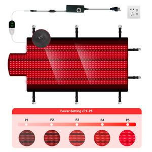 スイゼコ デュアル波長 660nm 850nm 10HZ 40HZ 設定 時間制御 LED 赤外線ライトセラピーパッド - Product Image 5