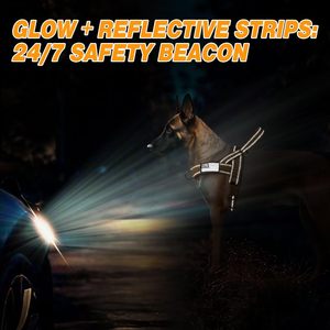 สายจูงสุนัขแบบใหม่สำหรับข้ามพรมแดน ทำจากไนลอน สำหรับสุนัขพันธุ์ใหญ่ พร้อมปลอกคอ สำหรับโกลเด้นรีทรีฟเวอร์ เยอรมันเชพเพิร์ด และสุนัขพันธุ์บอร์เดอร์ - Product Image 5