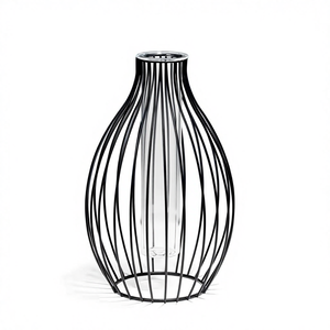 Modern Simplicity Handmade Wrought Iron Hydroponic <strong>Vase</strong> <strong>Flower</strong> Arrangement Container <strong>for</strong> Home Office Wedding Use - Product Image 1