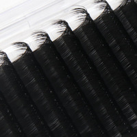 Extensions de cils en cachemire noir mat 0.03, volume, en éventail préfabriqué, plateaux personnalisés, vente en gros