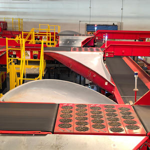 Sorteermachine Transportband Sorteren Kruis Sorteren Riem Systeem Materiaal Hantering Picking Draaiwiel Sorteermachine - Product Image 3