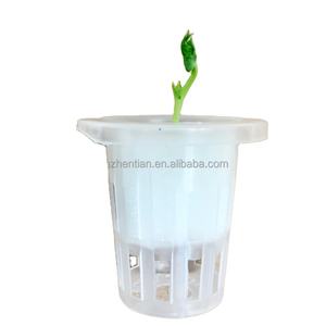 100pcs White Seedling Soilless Hydroponic Vegetables Nursery Pots Seedlings Cloning Collar Garden Cultivation Plant Sponge