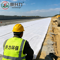 Géotextile à filament continu WSL 320g pour le drainage et la filtration des sous-drainages ferroviaires et le traitement des sols molles des autoroutes