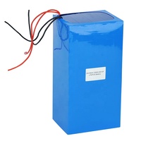 Paket Baterai LiFePO4 24V 50Ah Kustom Baterai Litium LiFePO4 Isi Ulang 24V 50Ah