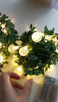 10/20/40 Leds Guirlande Lumineuse Rose Fleur Feuille Verte Rotin Lampe LED pour Mariage ou Anniversaire Fête de Noël Utilisation