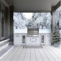 Gril de cuisine d'extérieur à texture métallique pour patio avec gril à gaz Cuisine d'extérieur en acier inoxydable résistant à l'humidité