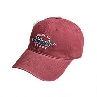 Casquettes souples en gros avec motif graphique brodé pour femmes