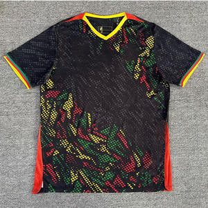 アフリカネイションズカップ カメルーン代表 サッカーユニフォーム 26-27 選手バージョン ホーム/アウェイ ガーメントダイ 100% ポリエステル ストレッチ ユニセックス スポーツトップ - Product Image 4