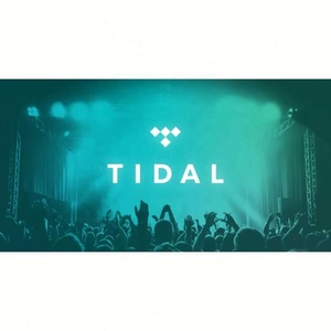 บัญชีสมาชิก Tidal Premium Music HiFi Plus แบบ 12 เดือน มีสินค้าพร้อมส่ง - Product Image 4
