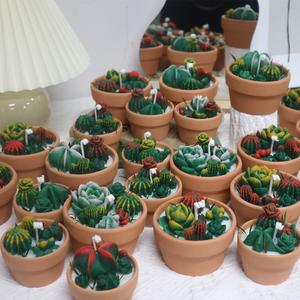 Personnalisé de haute qualité créatif plante paysage parfum bougie de luxe mini succulente parfumée cire de soja désert bougies de <span class=keywords><strong>cactus</strong></span> - Product Image 6