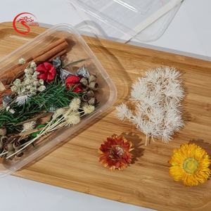 Fleurs et plantes séchées naturelles Lonma avec eucalyptus pour la décoration <span class=keywords><strong>de</strong></span> bougies parfumées DIY - Couleurs personnalisables - Product Image 5
