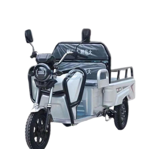 Tricycle électrique de transport flexible à structure légère, capacité de charge maximale de 500 kg - Product Image 1