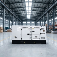 Groupe électrogène diesel silencieux professionnel Perkins 100 kW 200 kW 300 kW numérique triphasé avec kit d'accessoires et pièces de rechange