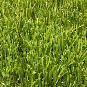 Le plus épais 50mm faux <span class=keywords><strong>gazon</strong></span> artificiel pelouse longue durée <span class=keywords><strong>tapis</strong></span> d'herbe <span class=keywords><strong>synthétique</strong></span> <span class=keywords><strong>pour</strong></span> l'aménagement paysager d'arrière-cour d'événement avec cellule de vidange - Product Image 3