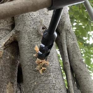 Lot de 4 tarières manuelles en acier au carbone, perceuse à bois portative, outil de survie autotaraudeur, pour bushcraft et travail du bois en extérieur - Product Image 5