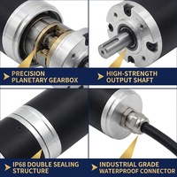 Motor DC Planetary Gear Y60-107 IP68 Tahan Air 24V 300W 45Nm Torsi Tinggi Beban 500kg Motor Submersible untuk ROV Kelautan
