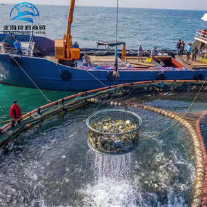 Prix de gros – <span class=keywords><strong>Poisson</strong></span> Pomfret Doré Séché Fait Main, Certifié HACCP, Traité par Congélation Lyophilisée, Provenant du Guangxi, Chine - Product Image 6