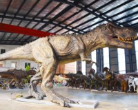 T-Rex animatronique électrique réaliste en métal, étanche, pour les expositions scéniques, les écoles, les musées et les centres commerciaux