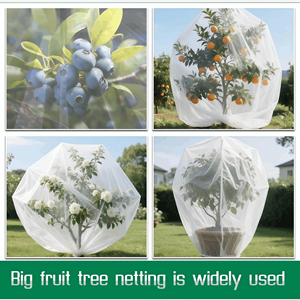 Filet de protection pour arbres fruitiers et plantes de <span class=keywords><strong>jardin</strong></span>, barrière anti-insectes et oiseaux, pour tomates et myrtilles - Product Image 6
