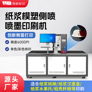 เครื่องพิมพ์อิงค์เจ็ทความเร็วสูงแบบฝังไมโคร WQL500 33ER3 600C4 เครื่องพิมพ์ดิจิทัลสีสำหรับพื้นผิวกระดาษ - Product Image 5