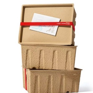 Boîte cadeau écologique entièrement biodégradable en fibres végétales, toucher naturel, vert doux, personnalisable, en pulpe de café, à suspendre, en forme d'oreille - Product Image 4