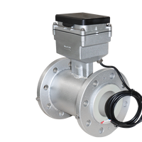 Compteur d'eau liquide magnétique en acier inoxydable Lorawan DN40-DN300, capteur de débit numérique, température 4G avec pression, OEM
