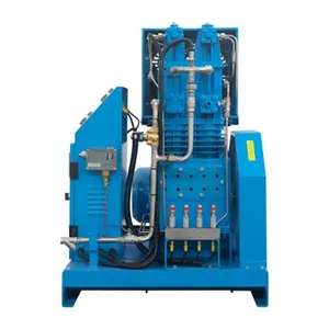 Fast Delivery Oil Less Compressor 12kW 12V 150PSI High Pressure Oil Gas Air Compressor Silent for Hyperbaric Chamber