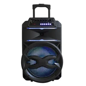 Private mega bass portable wireless TWS karaoke partybox speaker bare tone 12 inchi with rechargeable battery FM Led light