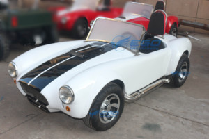 Voiturette électrique biplace de haute qualité, blanche, classique, pour le tourisme, nouvelle énergie, modèle Cobra spécial, transport spécial - Product Image 3