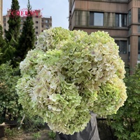 Hortensia artificiel en soie verte à grosse tête de 30cm Fausse fleur décorative en gros pour la décoration