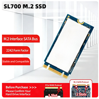 SSD SATA M.2 2242 SL700 128 Go 256 Go 512 Go pour Ordinateur Portable, Mini PC et Ordinateur Industriel