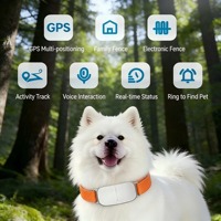 Traceur GPS intelligent pour animaux de compagnie avec traduction, étanche, moniteur vocal, affichage dynamique en temps réel, longue autonomie de la batterie, prêt à être expédié