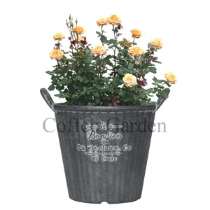 Handvat Ontwerp Groente Ronde Bloempot 10 Inch Kleine Plastic Ambachten Planter Binnen En Buiten Pot Voor Planten Decor Vazen