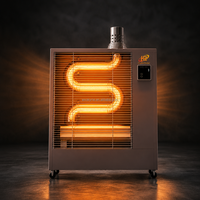 Chauffage au gazole haute puissance OkyRie 20KW avec protection anti-basculement et commande électrique pour entrepôt, garage, B2B