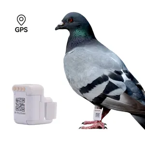 bird tracking device Real Time Locating Pigeon Race Training Tracker Gps Pigeon Tracking Chip Ring anilla gps para palomas