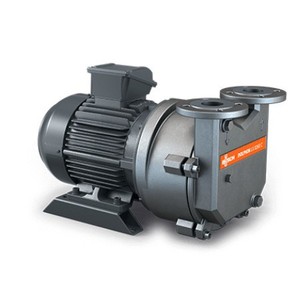 Pompe à vide à anneau liquide Busch DOLPHIN LX 0260 0430 C en fonte avec moteur électrique - Product Image 1