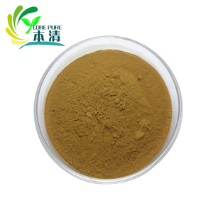 Muestra gratis de grado alimenticio Extracto de hoja de <span class=keywords><strong>Ilex</strong></span> Guayusa de alta calidad 4:1 10:1 Polvo de extracto de Guayusa - Product Image 1