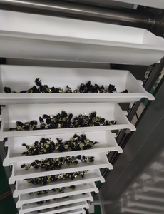 Neuer HFRD Maßgefertigter Edelstahl Industrieller Gerösteter Kaffeebohnen-Mehrfachauslass Verstellbarer Hebe-T-Typ Vertikaler Förderer - Product Image 6