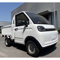 Voitures électriques miniatures 3500W Europe L6E certifiées EEC COC, mini-camion électrique à 4 roues