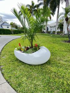 Juego de macetas 3 en 1 para interiores/exteriores, fibra de arcilla, grano de madera, para el hogar aspecto para decoraciones de jardín, cajas de plantas de calidad Premium - Product Image 5