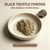 Poudre d'assaisonnement à la truffe noire, condiment gourmand à la truffe, rehausseur de saveur naturel, marque privée OEM pour la cuisson des pâtes et des steaks