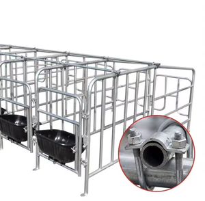 Équipement d'élevage pour porcs : Étables <span class=keywords><strong>de</strong></span> gestation à structure renforcée avec barrières <span class=keywords><strong>de</strong></span> limitation, pour l'élevage au sol - Product Image 1