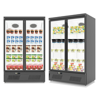 Vitrine réfrigérée à deux portes avec façade en verre pour crèmes glacées, aliments surgelés et boissons